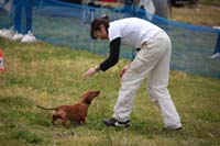 IMG_8578