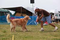 IMG_8596