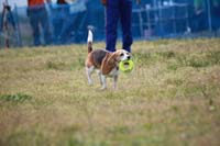 IMG_8598