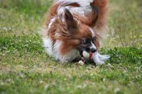 IMG_8608