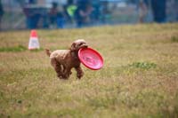 IMG_8615