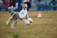IMG_8619
