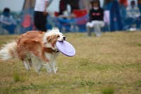 IMG_8633