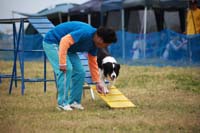 IMG_8668