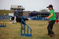 IMG_8729