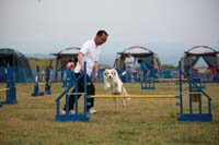 IMG_8796