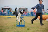 IMG_8811