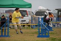 NOM_00602277