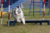 IMG_0331