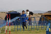 IMG_0334
