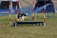 IMG_0344