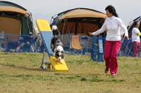 IMG_0345