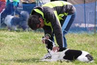 IMG_0351