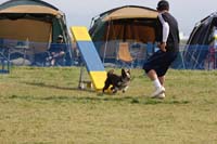 IMG_0369
