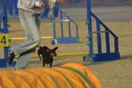 IMG_6851